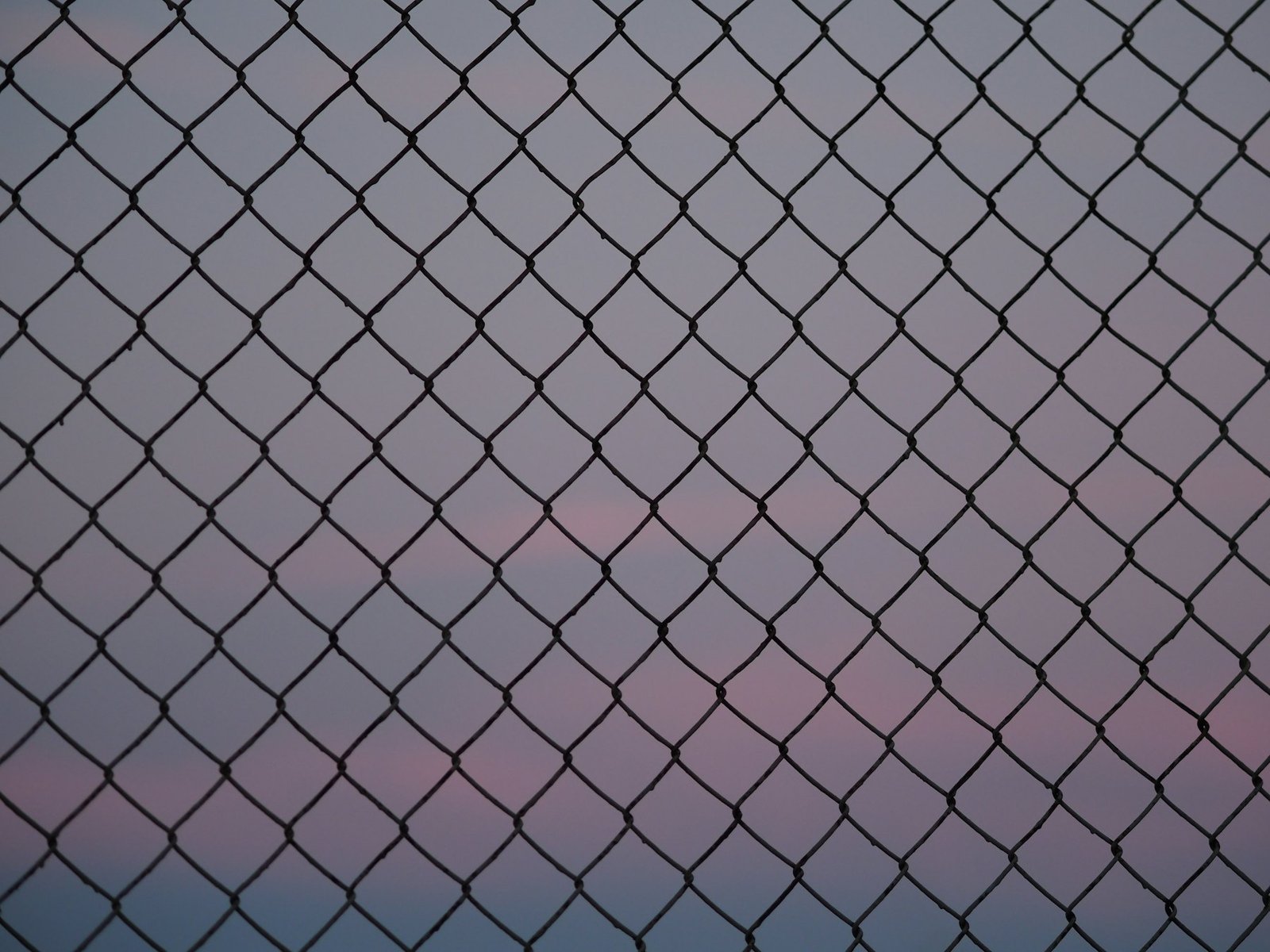 Chain link mesh against a pale, overcast sky