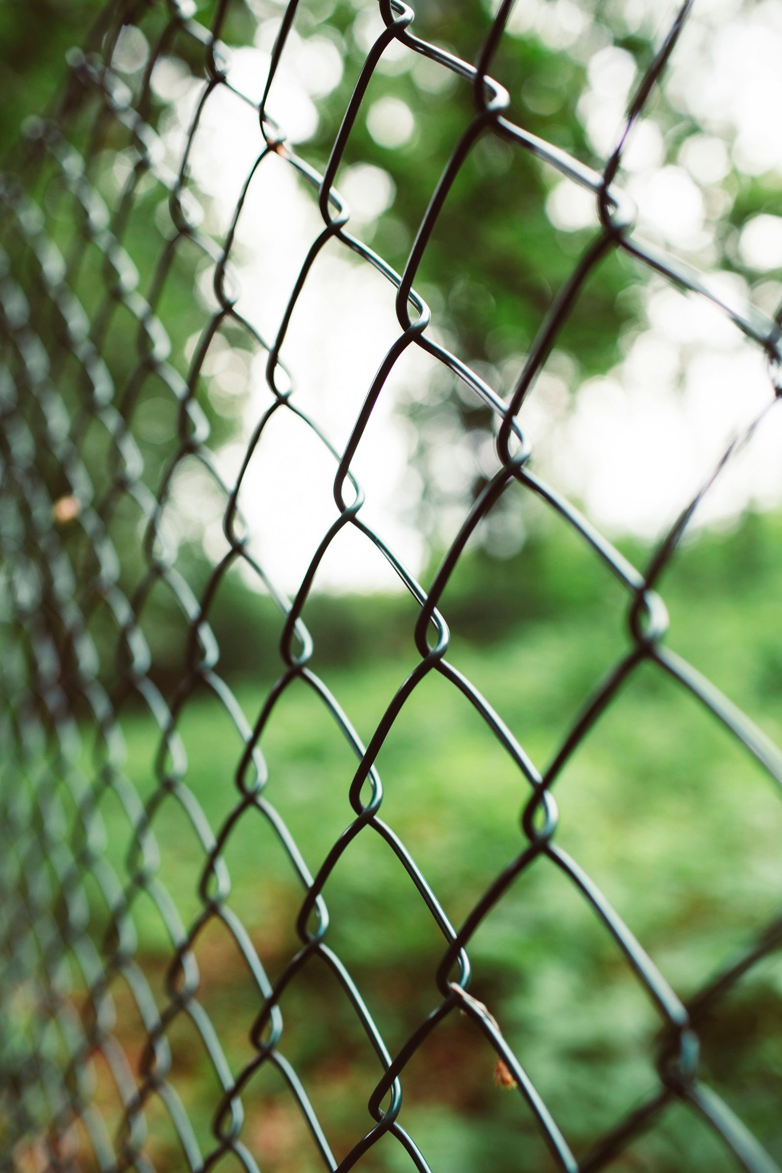 Close view of green-coated chain link mesh with foliage behind it