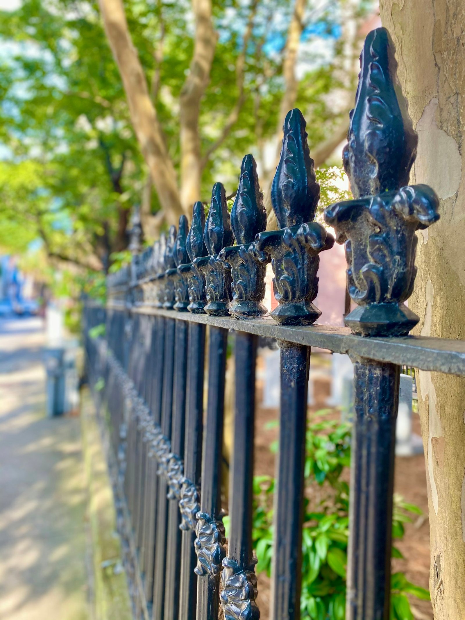 Ornamental iron railings with decorative finials along a tree-lined street