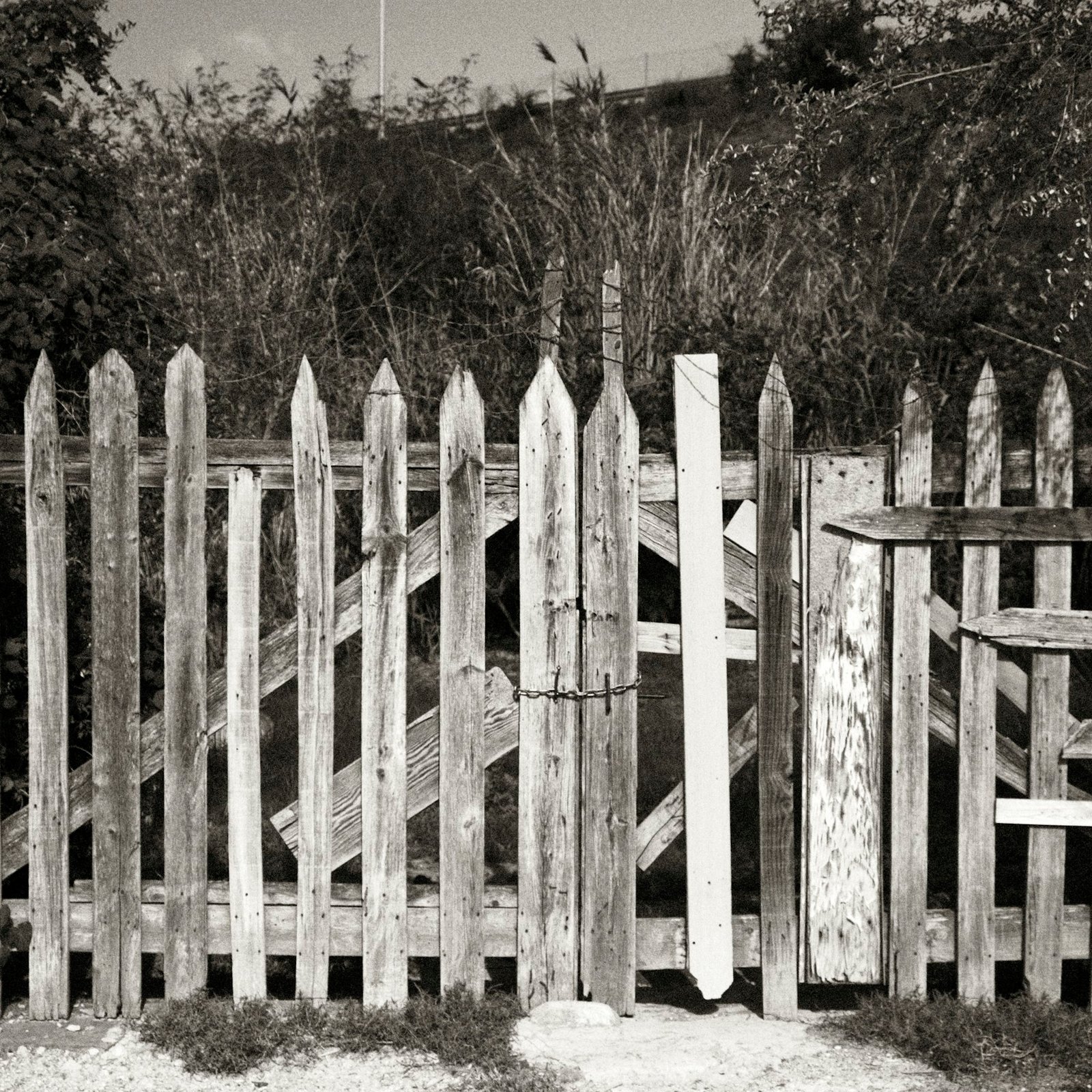 Black-and-white photograph of a weathered picket fence with a gate hung in it, standing in long grass