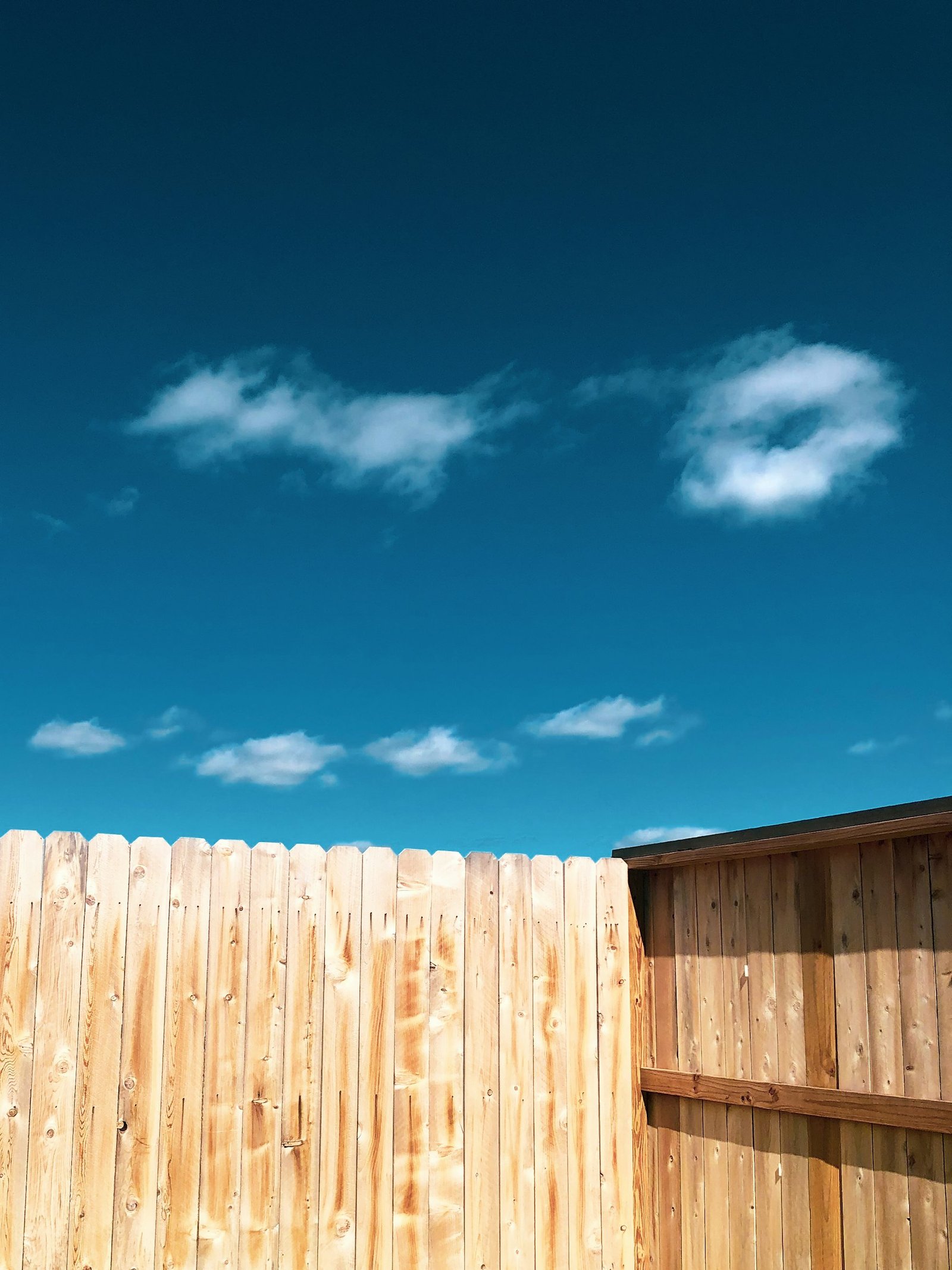 The top of a new cedar fence against a clear blue sky