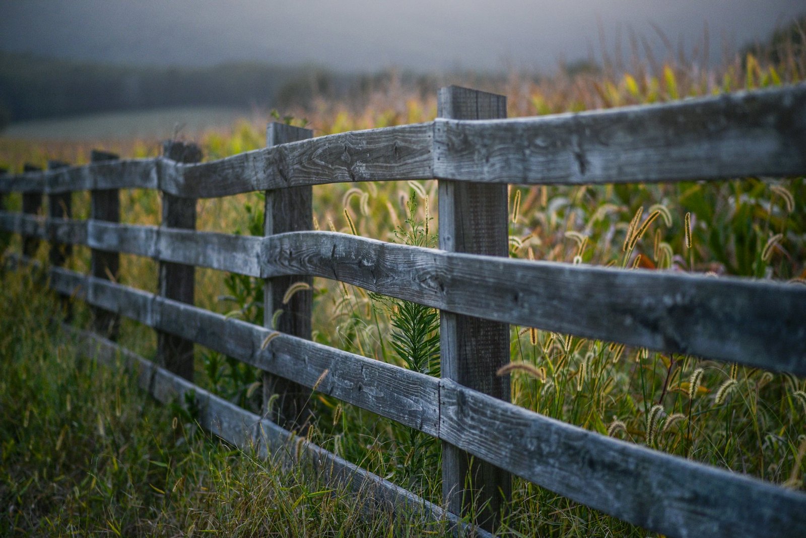 Weathered post-and-rail fence beside a field, the background out of focus