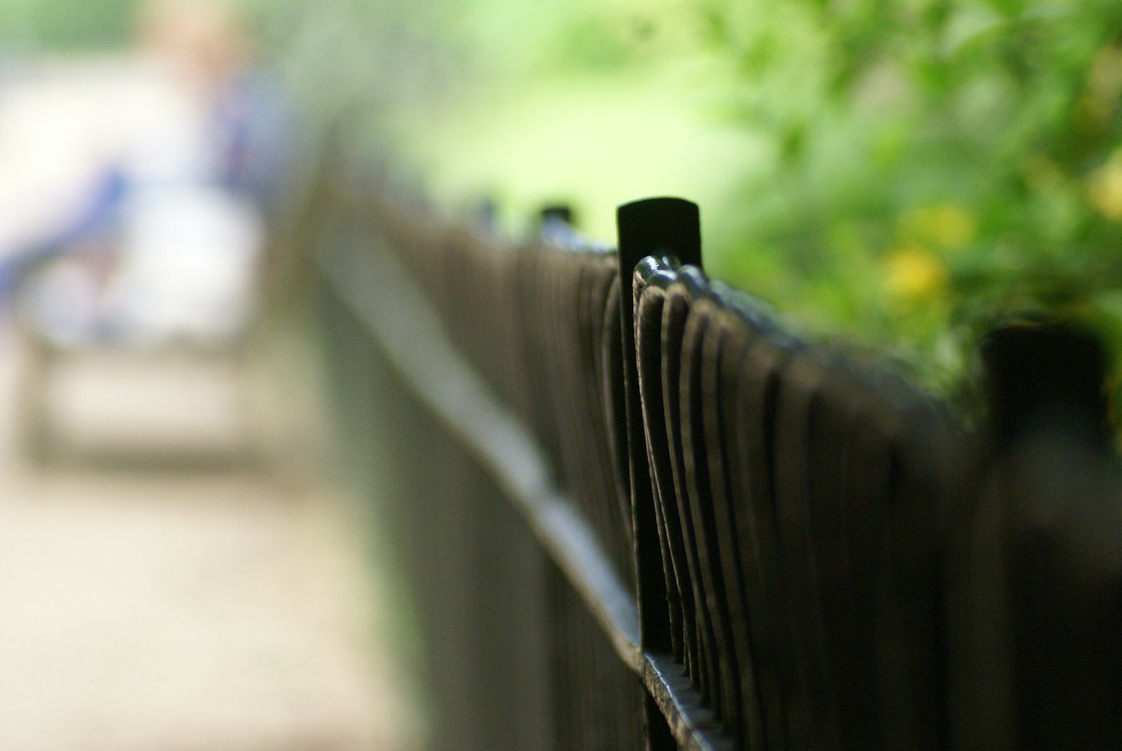Close view along the top rail of a timber fence, greenery out of focus behind