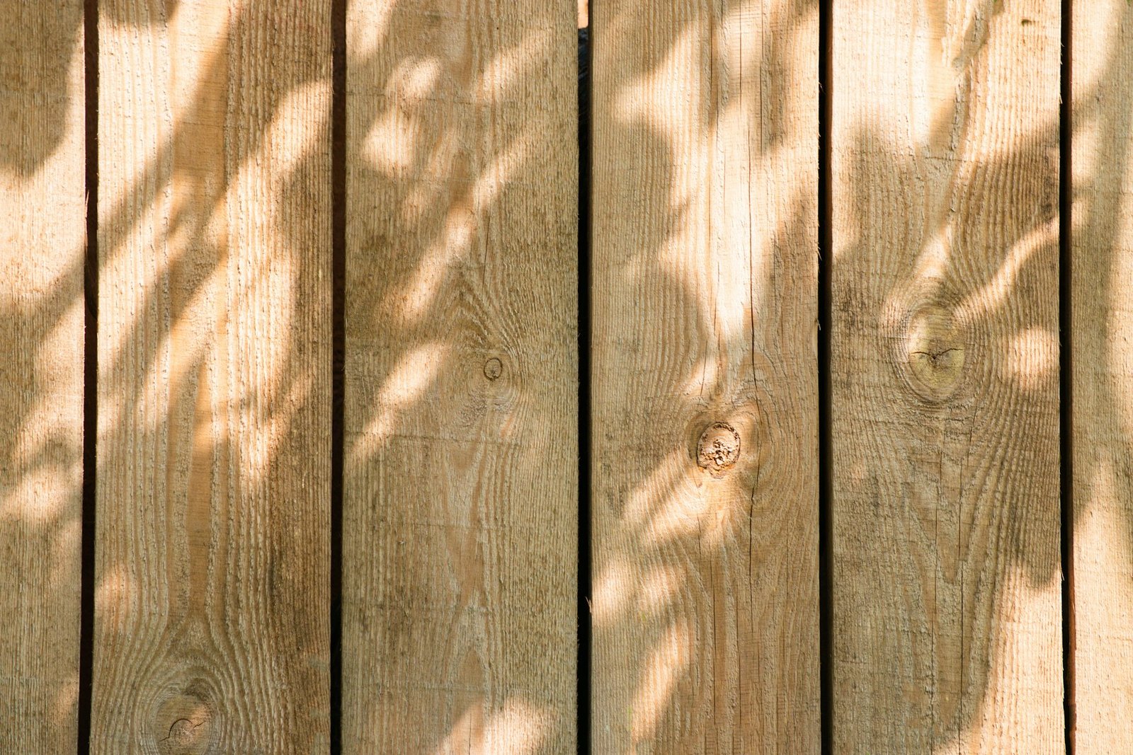 Dappled light falling across two wide timber fence boards