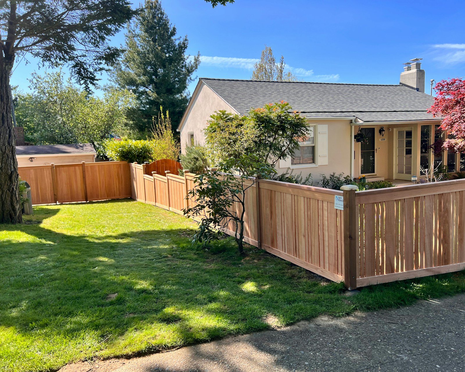 Back garden with a mown lawn, a single-storey house and a new cedar fence with a gate running along the boundary