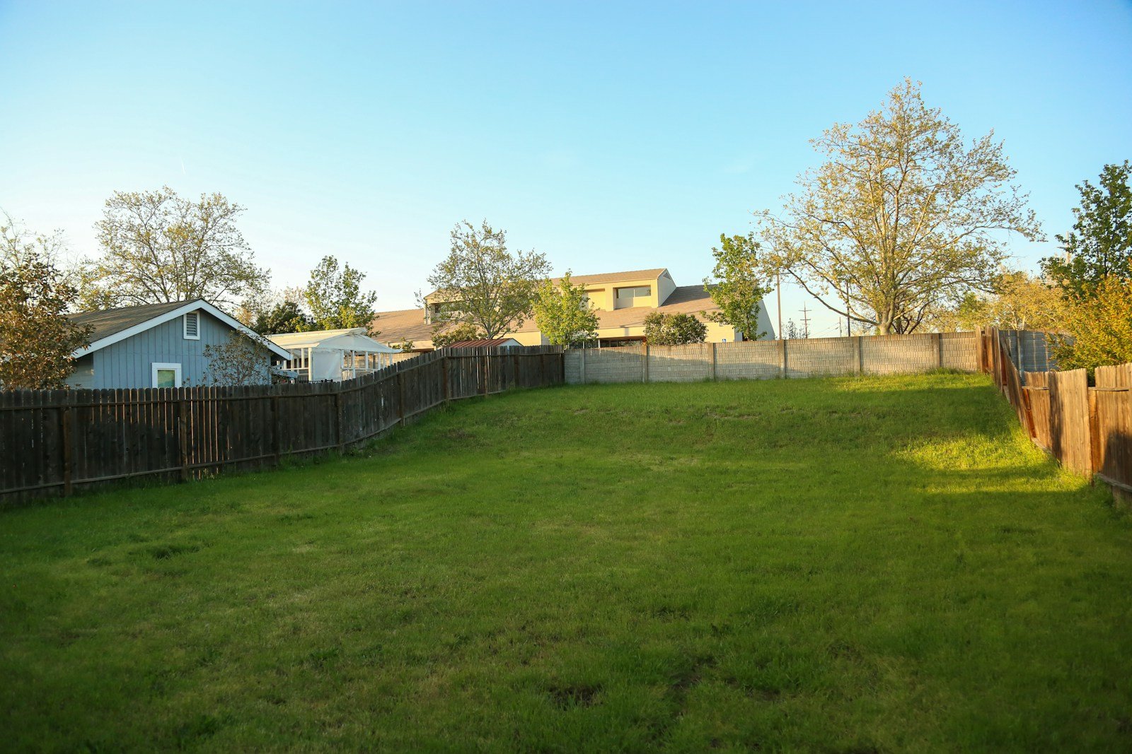 Wide back lawn under a blue sky with a low boundary fence running along the far side and houses beyond
